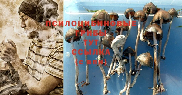 кокс Богданович