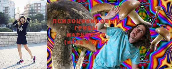 кокс Богородицк
