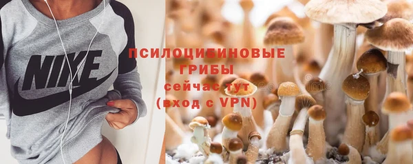 эйфоретик Богородск