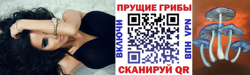 Псилоцибиновые грибы ЛСД  купить наркотик  Бирск 